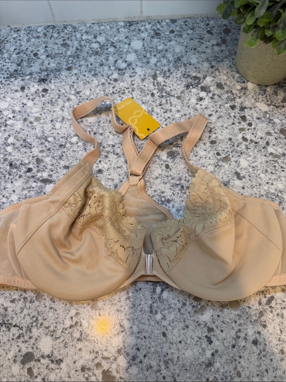 Delimira Lace-Trim Full Coverage front closure razor back size 38B nude
